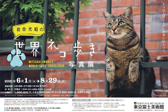 Tokyo Fuji Art Museum Admission Ticket + Special Exhibition (When Being Held) - Pricing and Reviews