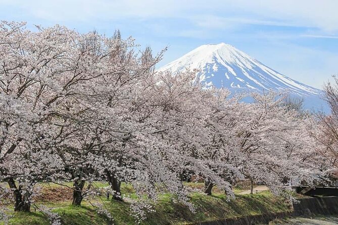 1 Day Fully Customized Tour to Mt Fuji With English & Hindi Speak - Visitor Experiences and Testimonials