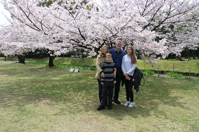 8-Hour Tokyo Tour by Qualified Tour Guide Using Public Transport - Group Size Variations