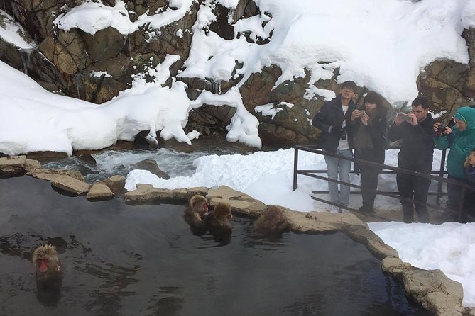 Explore Jigokudani Snow Monkey Park With a Knowledgeable Local Guide - Booking and Cancellation Policy