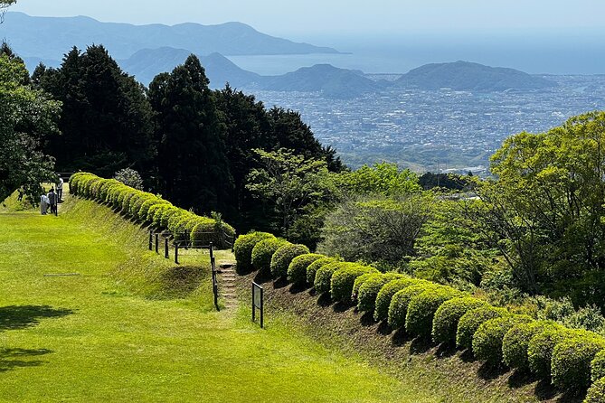 Hike Japan Heritage Hakone Hachiri With Certified Mountain Guide - Meeting Point Details