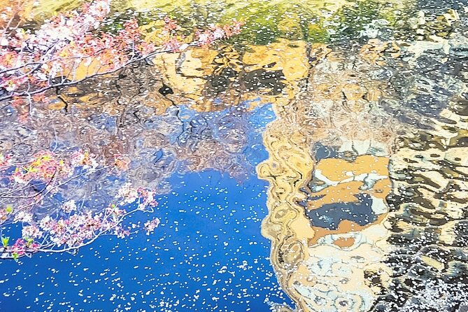 Licensed Guide Tokyo Meguro Cherry Blossom Walking Tour - Price and Cancellation Policy