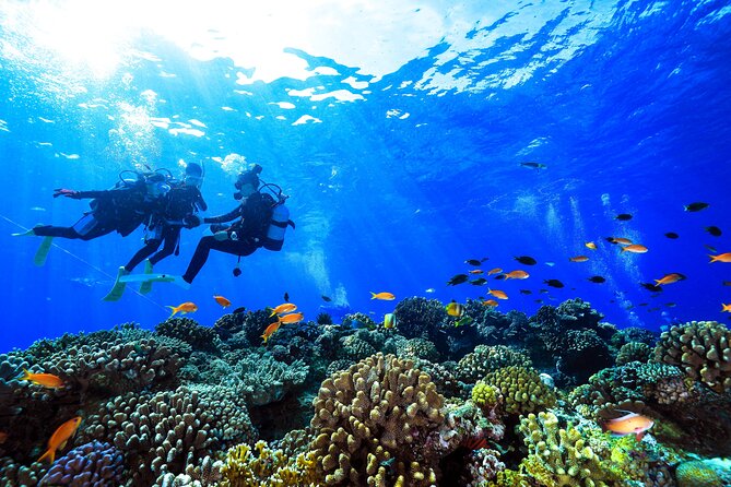 Naha: Full-Day Introductory Diving & Snorkeling in the Kerama Islands, Okinawa - Cancellation Policy