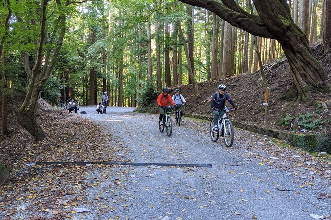 Nara - Heart of Nature Bike Tour - Frequently Asked Questions