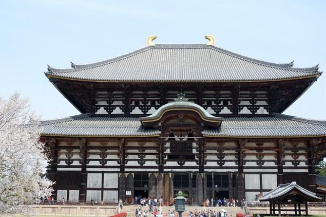 Nara Private Tour by Public Transportation From Kyoto - Cancellation Policy Details