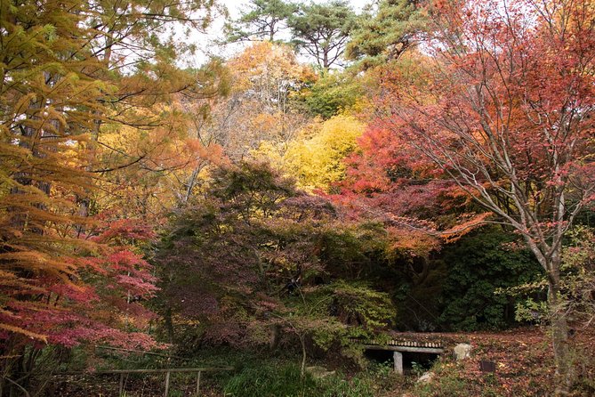 Private Car Day Trip to the Kobe Mountains, Gardens and Hot Springs From Osaka - Customer Reviews and Testimonials