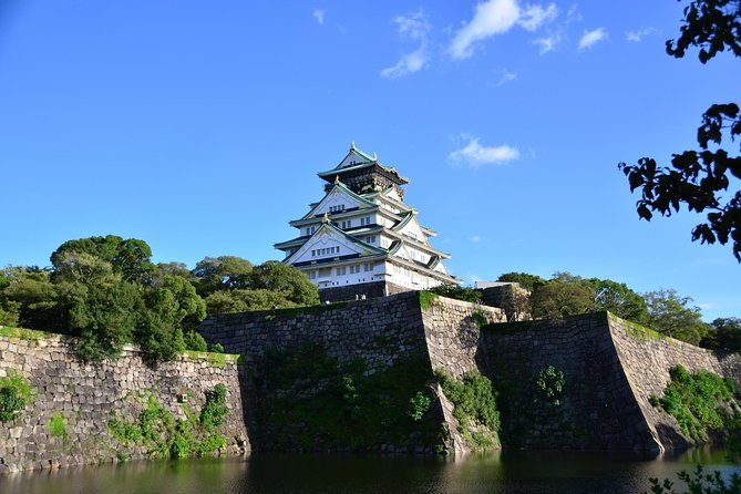 Private Car Full Day Tour of Osaka Temples, Gardens and Kofun Tombs - Reviews