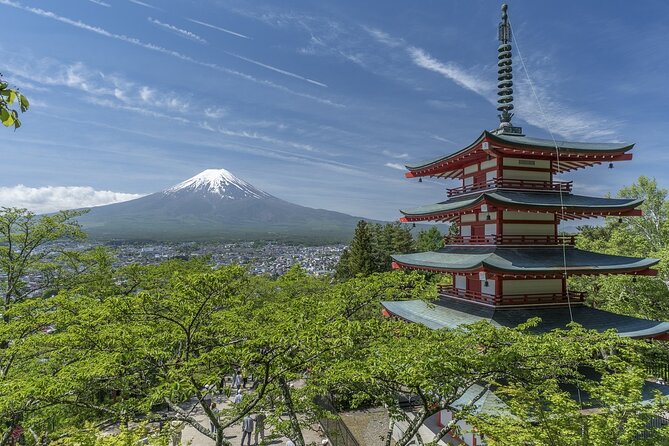 Private Mt Fuji, Hakone and Tokyo Tour-English Speaking Chauffeur - Booking Information