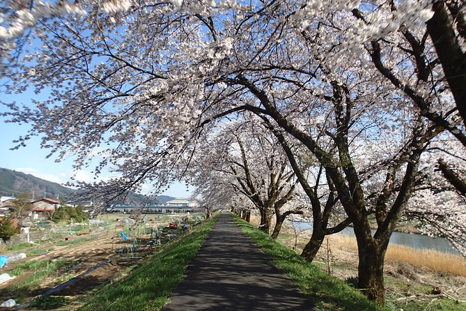 Short Morning Cycling Tour in Hida - Location Information