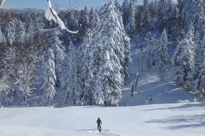 Snowshoe Hike Tour From Sapporo - Tour Logistics