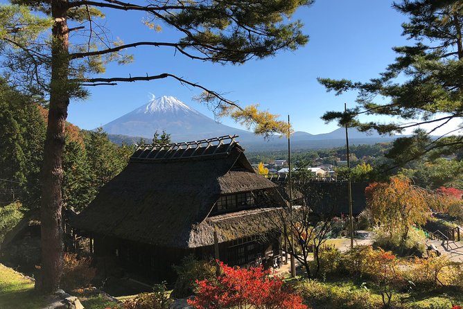 Tour Around Mount Fuji Group From 2 People ¥32,000 - Additional Information and Confirmation