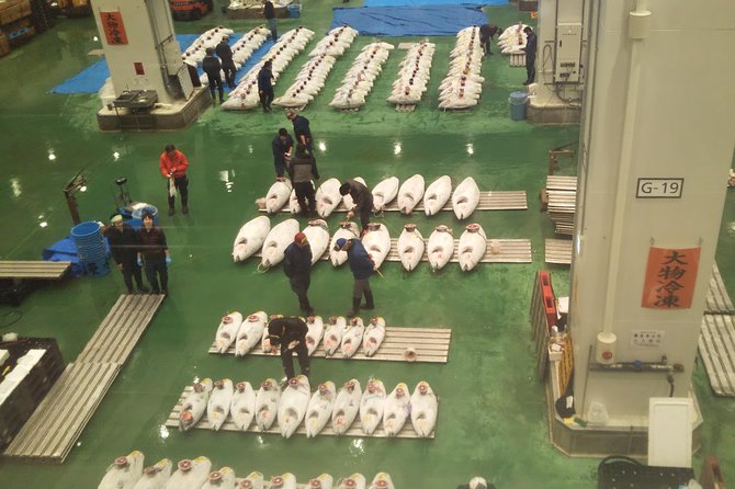 Tuna Auction at Toyosu Market With Qualified Guide and Early Morning Tour of Tsukiji Outer Market - Weather Requirements