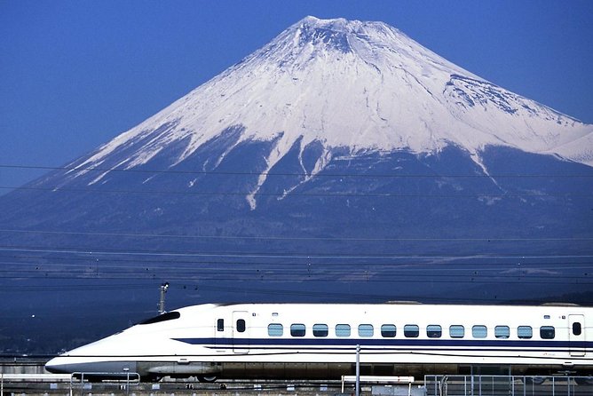 1 Day Charter Tour to Mt Fuji View - Final Words