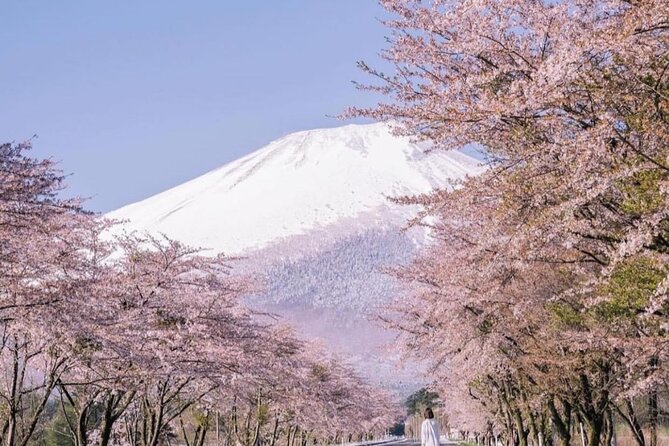 1 Day Fully Customized Tour to Mt Fuji With English & Hindi Speak - Frequently Asked Questions