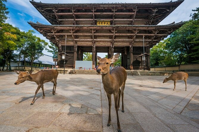 Arashiyama & Yasaka Shrine & Nara & Todaiji Day Trip From Osaka - Additional Information