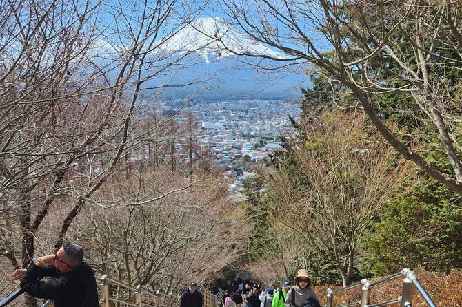 Day Private Tour of Hakone With English Speaking Driver - Operators Cancellation Policy