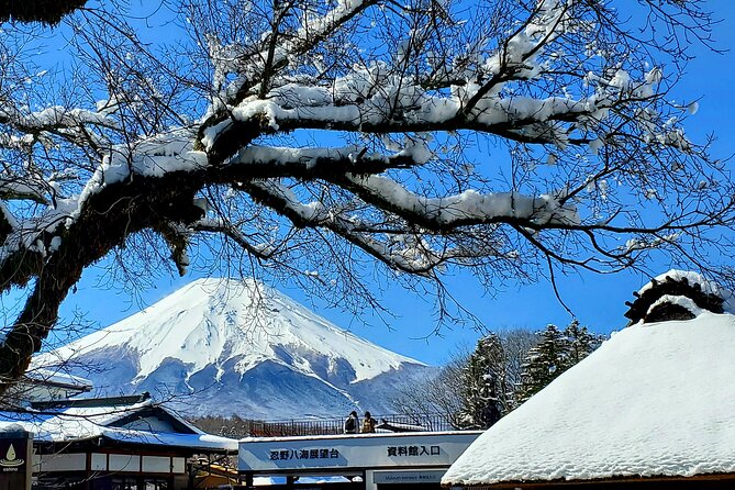 Full Day Private Guided Tour Mt. Fuji and Hakone - Just The Basics