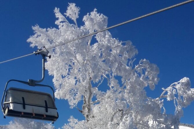 Full Day Ski Lesson (6 Hours) in Yuzawa, Japan - Language Options