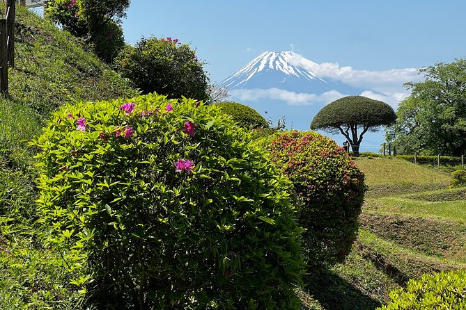 Hike Japan Heritage Hakone Hachiri With Certified Mountain Guide - End Point Information