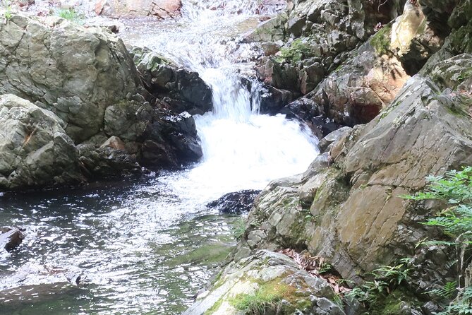 Minoh Waterfall and Nature Walk Through the Minoh Park - Experience Highlights