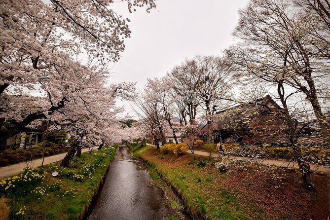 Mt Fuji Day Trip From Tokyo by Car With Photographer Guide - Guide and Photography Experience