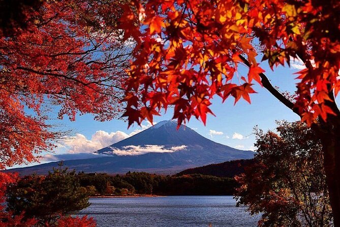 Mt. Fuji View and 2hours+ Free Time at Gotemba Premium Outlets - Return Trip to Tokyo