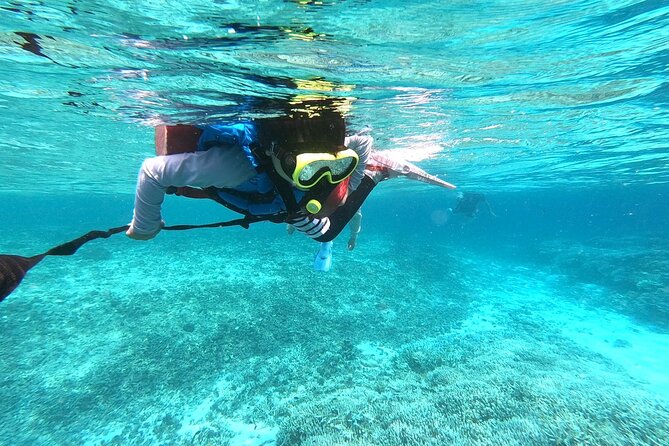 [Okinawa Iriomote] Snorkeling Tour at Coral Island - Directions and Location