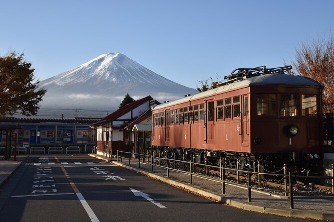 Private Mt Fuji, Hakone and Tokyo Tour-English Speaking Chauffeur - Frequently Asked Questions