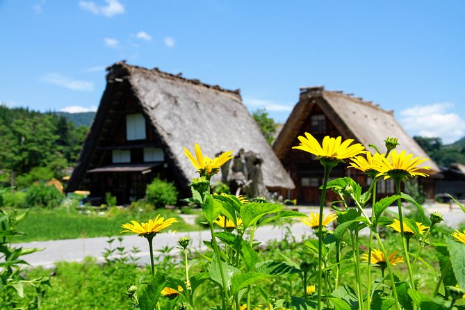 Private Tour of Shirakawago From Kanazawa (Half Day) - Customer Reviews