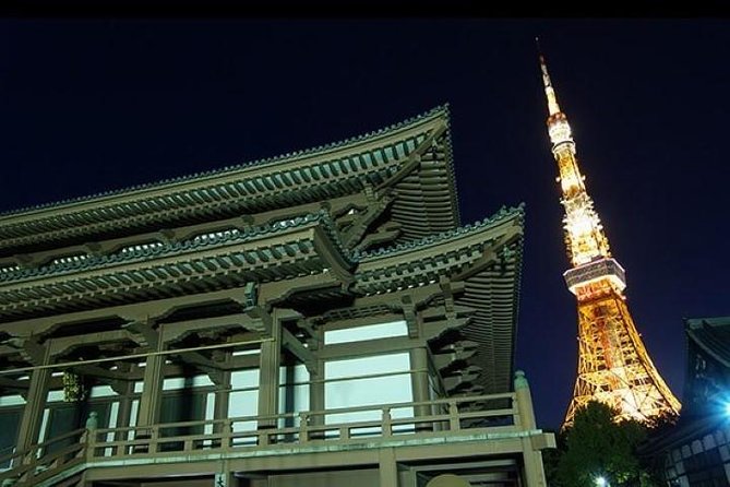 Private Tour Tokyo - the Harmony of Modernity and Tradition - Important Information