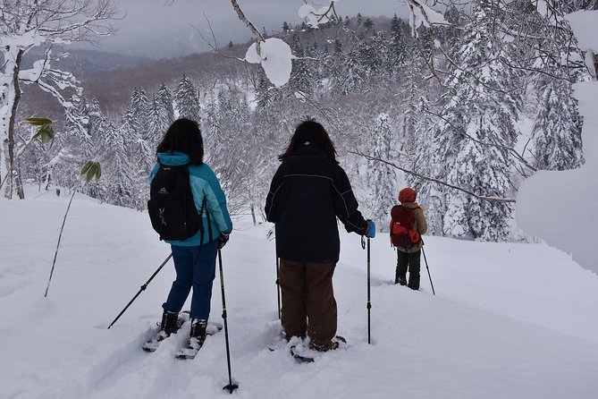 Snowshoe Hike Tour From Sapporo - Additional Resources