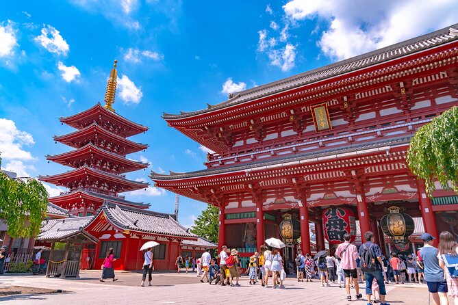 Tokyo 6hr Instagram Highlights Private Tour With Licensed Guide - Travelers Experiences