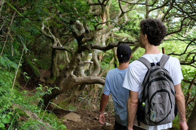 Traverse Outer Rim of Hakone Caldera and Enjoy Onsen Hiking Tour - Directions