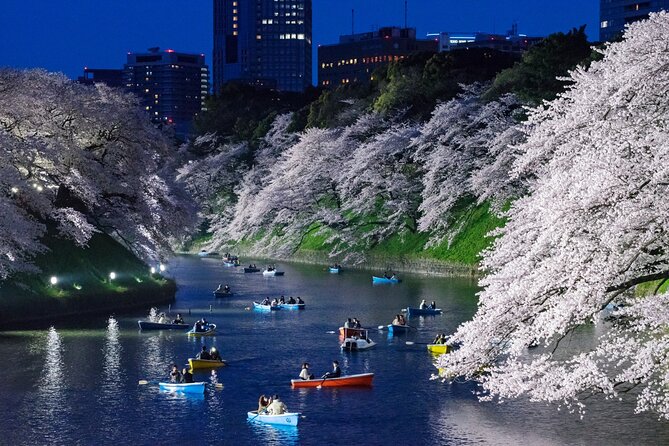 Cherry Blossom Private Tour - Customer Experiences