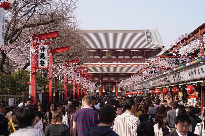 Japanese Sample Food Making Experience - Accessibility