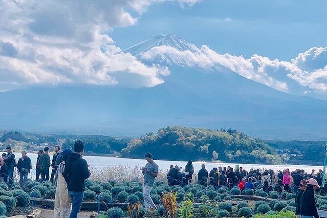 Mount Fuji and Hakone Private Tour With English Speaking Driver - Accessibility and Guidelines