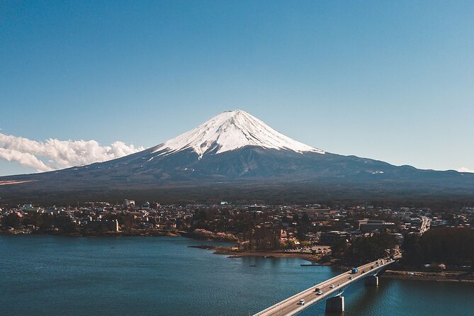 Mt Fuji, Hakone Private Tour by Car With Pickup - Vehicle Options for Transportation