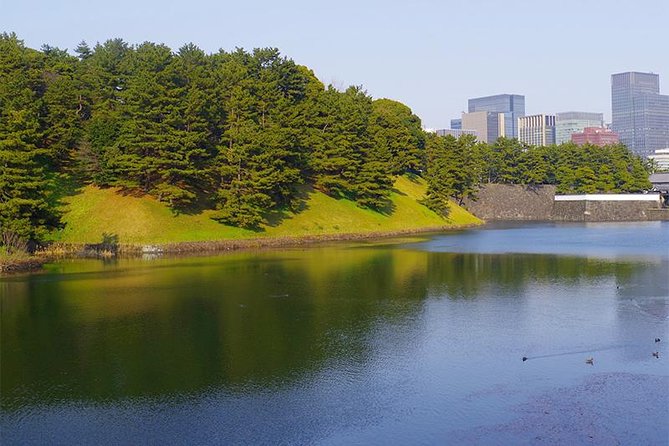 Private Tour - History, Art and Nature at the Imperial Palace - Customer Reviews