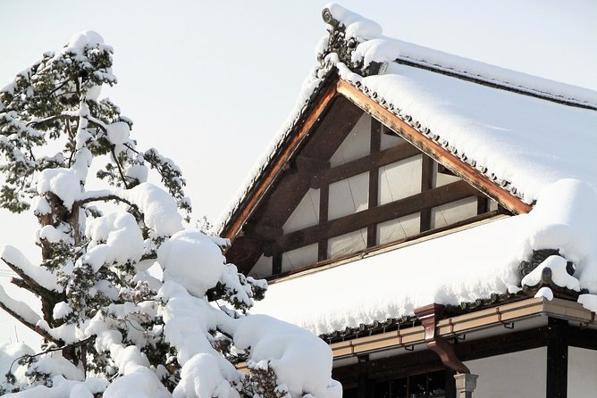 Private Tour of Shirakawago and Gokayama From Kanazawa - Reviews