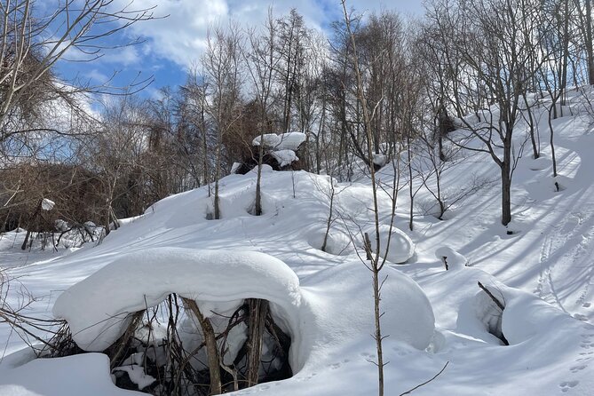 Snowshoeing Adventures in a Winter Wonderland - Sapporo - Operators Expertise