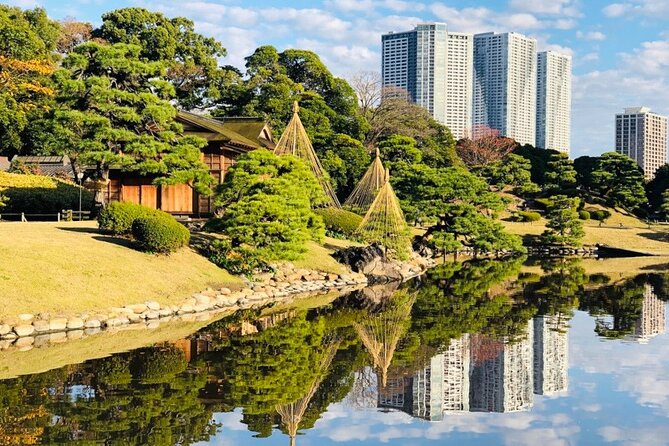 Tokyo 1-Day Bus Tour, Hotel Pick-Up and Drop-Off, Japan Gray Line - Additional Considerations