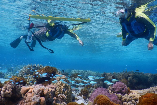 Half-Day Kayak Tour on the Kerama Islands and Zamami Island - Final Words