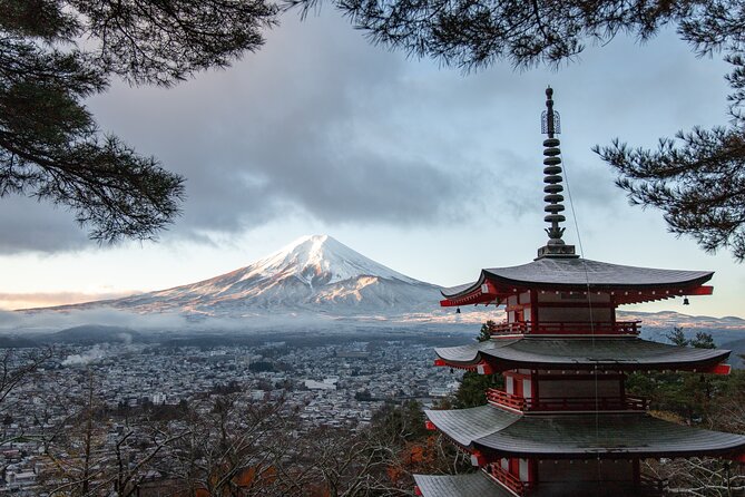 Mt Fuji, Hakone Private Tour by Car With Pickup - Accessibility and Amenities