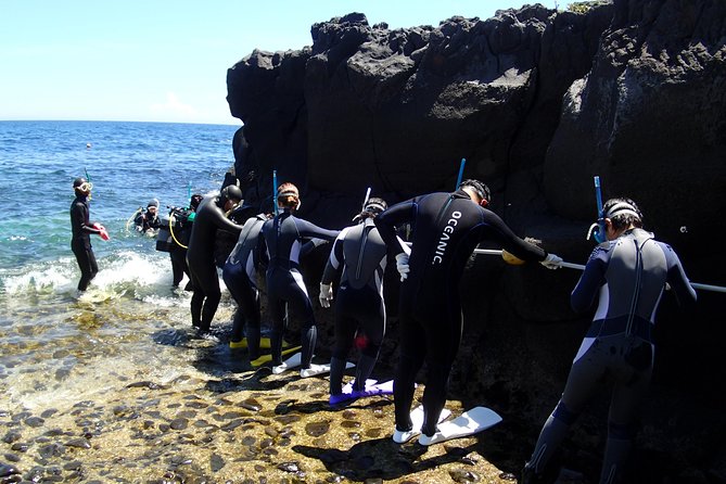 Experience Diving! ! Scuba Diving in the Sea of Japan! ! if You Are Not Confident in Swimming, It Is Safe for the First Time. From Beginners to Veteran Instructors Will Teach Kindly and Kindly. - Just The Basics