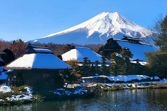 Full Day Private Guided Tour Mt. Fuji and Hakone