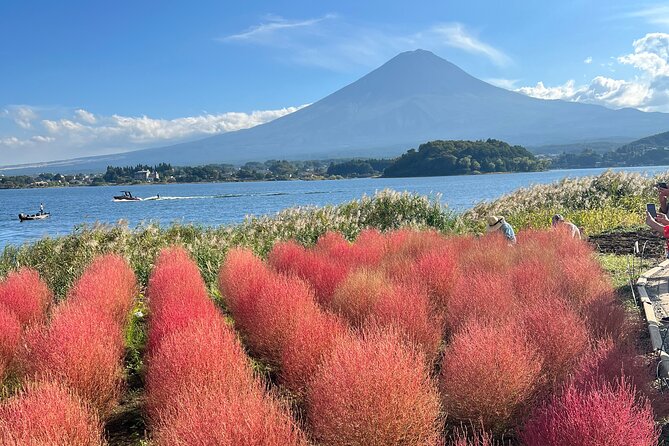 Full Day Private Tour to Mount Fuji and Hakone - Tour Itinerary