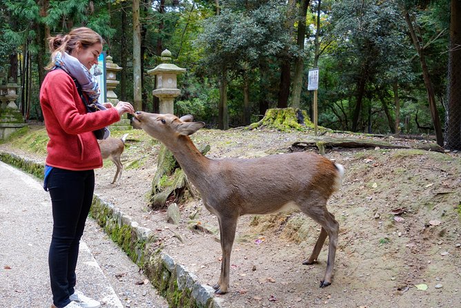 Highlights of Japan Tour: 10-day Small Group - Just The Basics