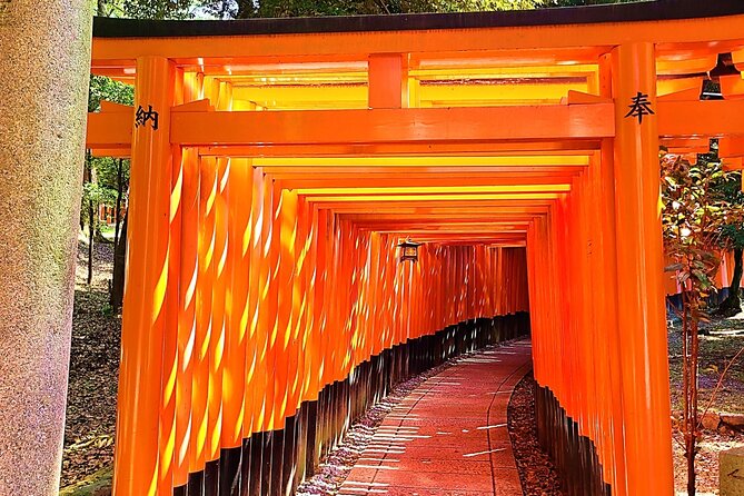 Kyoto City Adventure! Explore All Twelve Attractive Landmarks! - Just The Basics