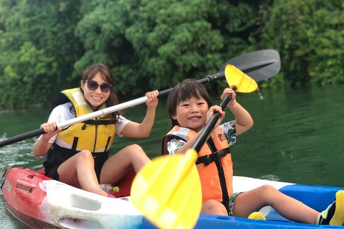 Mangrove Kayaking to Enjoy Nature in Okinawa - Just The Basics