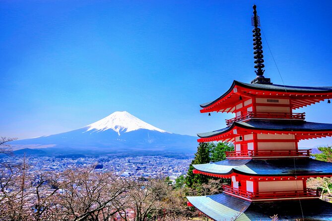 Mount Fuji and Hakone Full Day Private Sightseeing Tour - Just The Basics